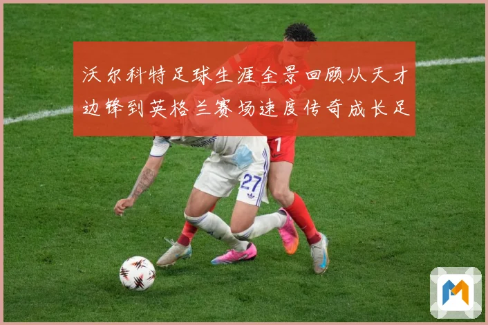 沃尔科特足球生涯全景回顾从天才边锋到英格兰赛场速度传奇成长足迹