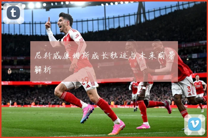 尼科威廉姆斯成长轨迹与未来前景解析