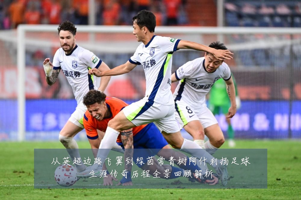 从英超边路飞翼到绿茵常青树阿什利扬足球生涯传奇历程全景回顾解析
