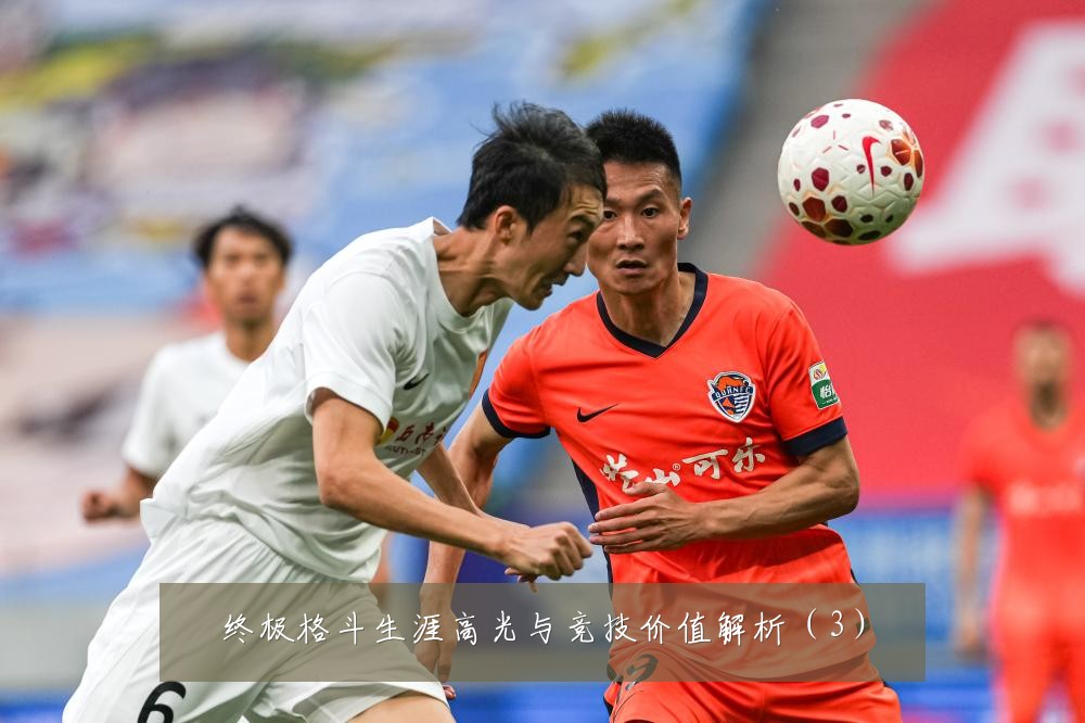 终极格斗生涯高光与竞技价值解析（3）